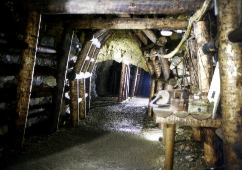 Holzwerkstatt mit verschiedenen Ausbauarten