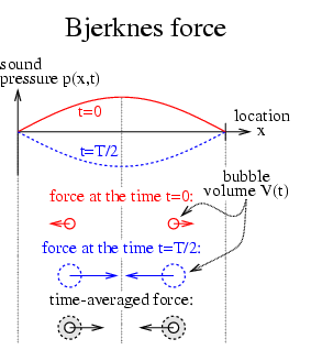 illustration of Bjerknes force